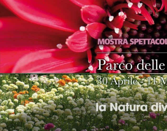 Flora Firenze